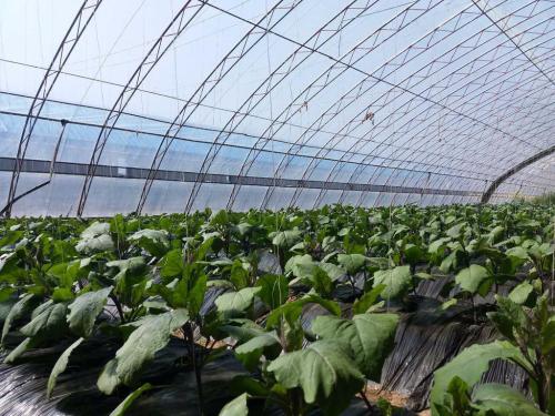 受阻胺光穩定劑292可用在uv涂料里嗎